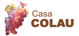 Vinos y Licores Casa Colau Gandia