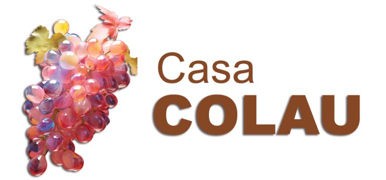 Vinos y Licores Casa Colau Gandia